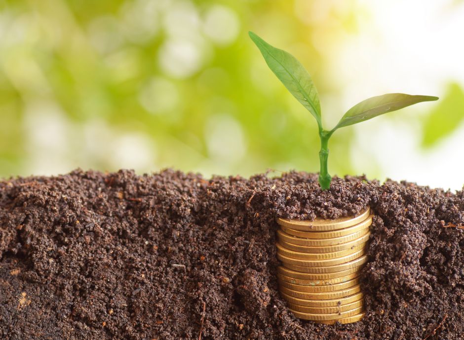 anticipi-pac-2025 Sezione Circolari PAC | ConsulenzaAgricola.it