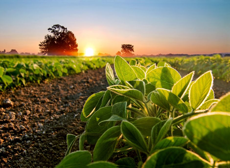 bando-pratiche-ecologiche-prorogato-13-ottobre-2025-termine-pre_p55096 Sezione Circolari