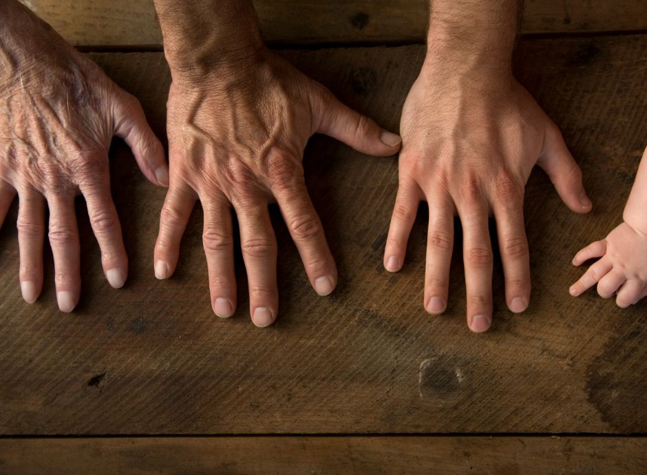 esenzione-dalle-imposte-a-maglie-larghe-il-nuovo-volto-del-tras_p79272 Sezione Circolari