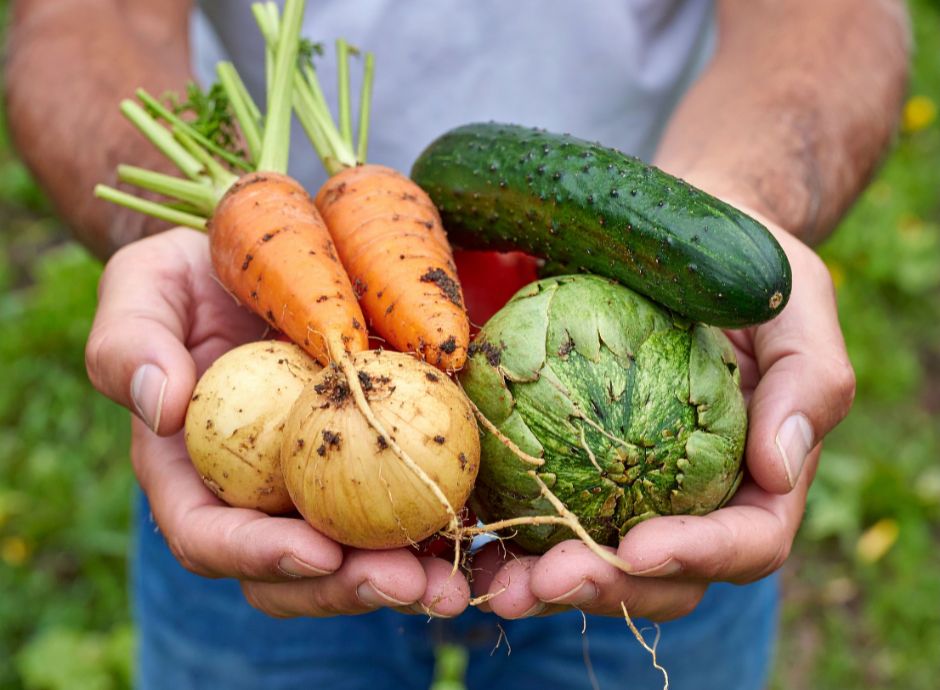 nuova-strategia-riparto-fondo-biologico-focus-ricerca-sementi-m_p41034 Sezione Circolari