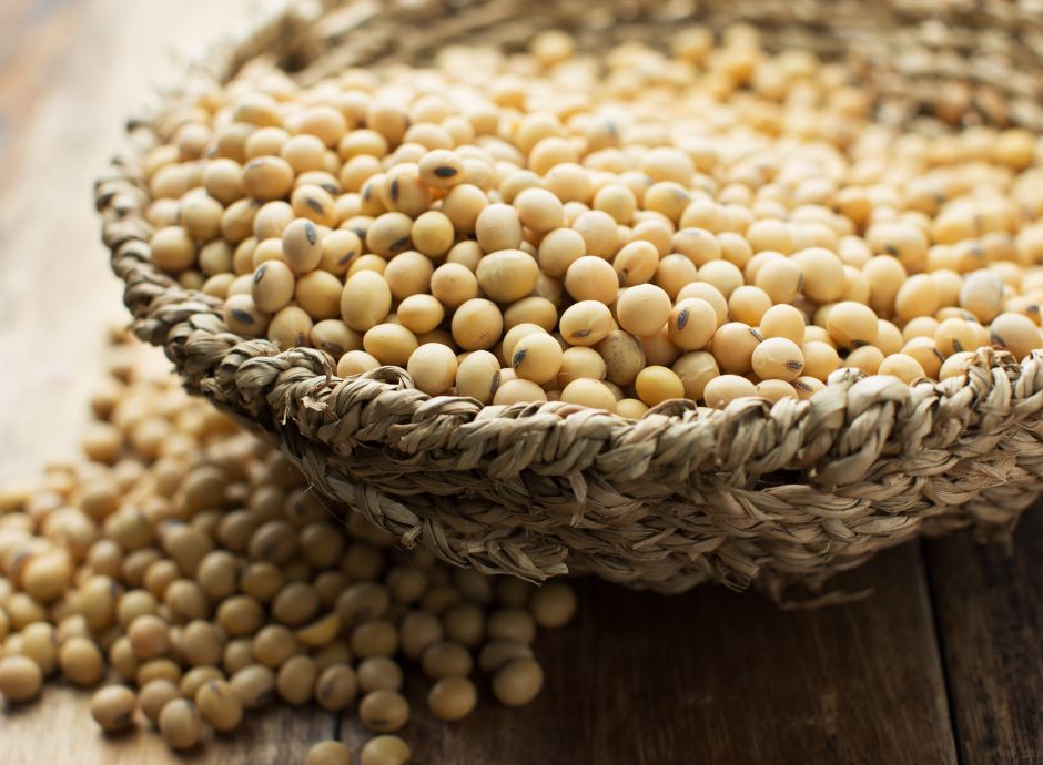 importazioni-soia-biologica-togo-masaf-dispone-rafforzamento-co_p27433 Sezione Circolari