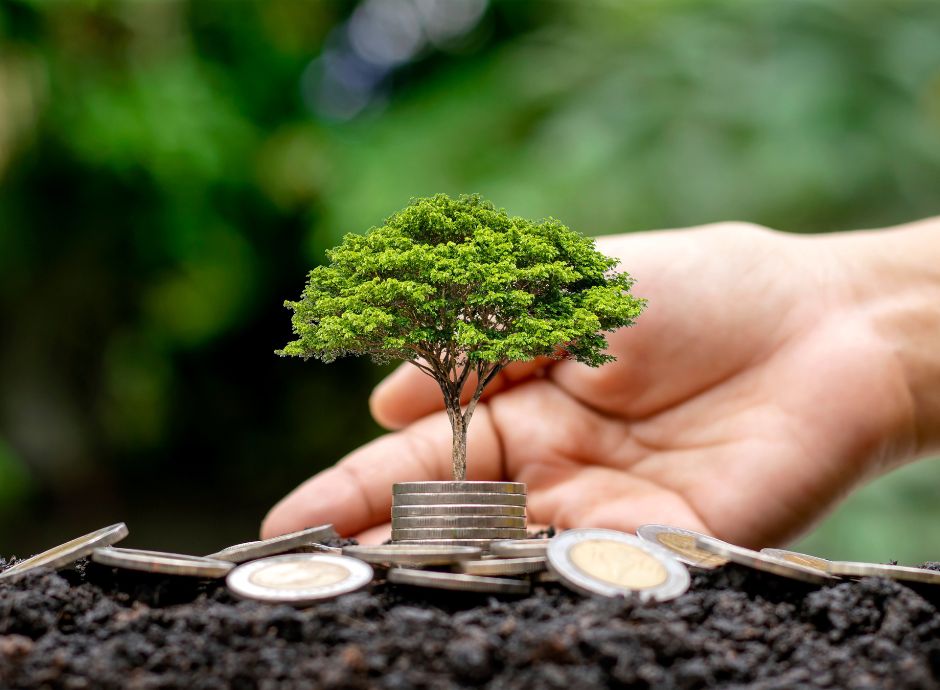 investimenti-sostenibili-4-0-assegnate-nuove-risorse-aggiuntive Circolari OP del settore ortofrutticolo