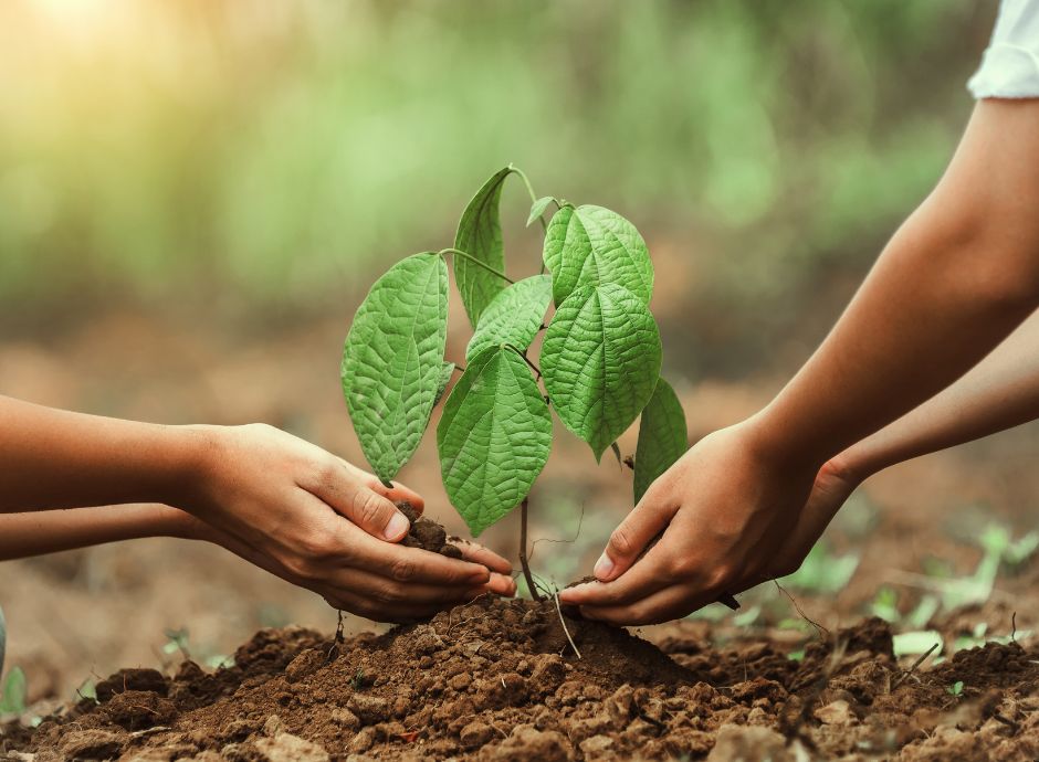 agea-approva-ulteriori-concessioni-contributi-assicurazioni-pro_p25949 Sezione Circolari PAC | ConsulenzaAgricola.it