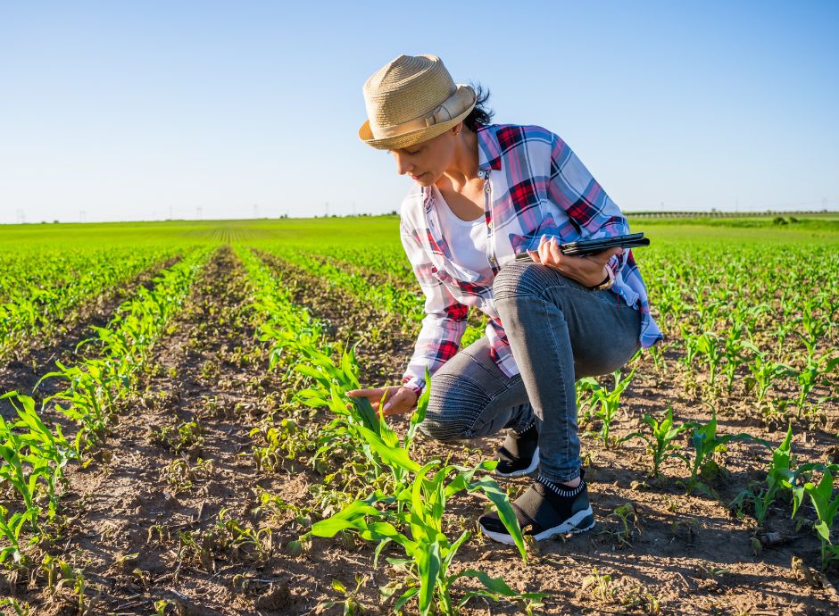 prelazione-agraria-imprese-agricole-giovanili-novita-legge-36-2_p54079 Sezione Circolari Varie | ConsulenzaAgricola.it