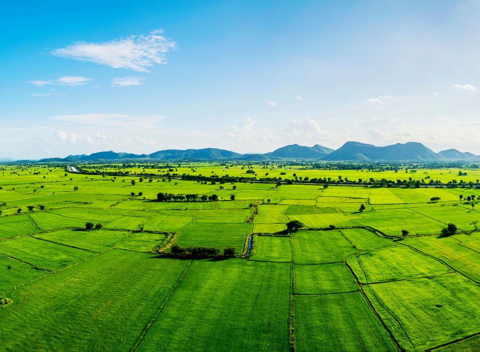 agevolazioni-acquisto-terreni-agricoli-nuovo-testo-unico-regist_p70986 Circolari Fiscali