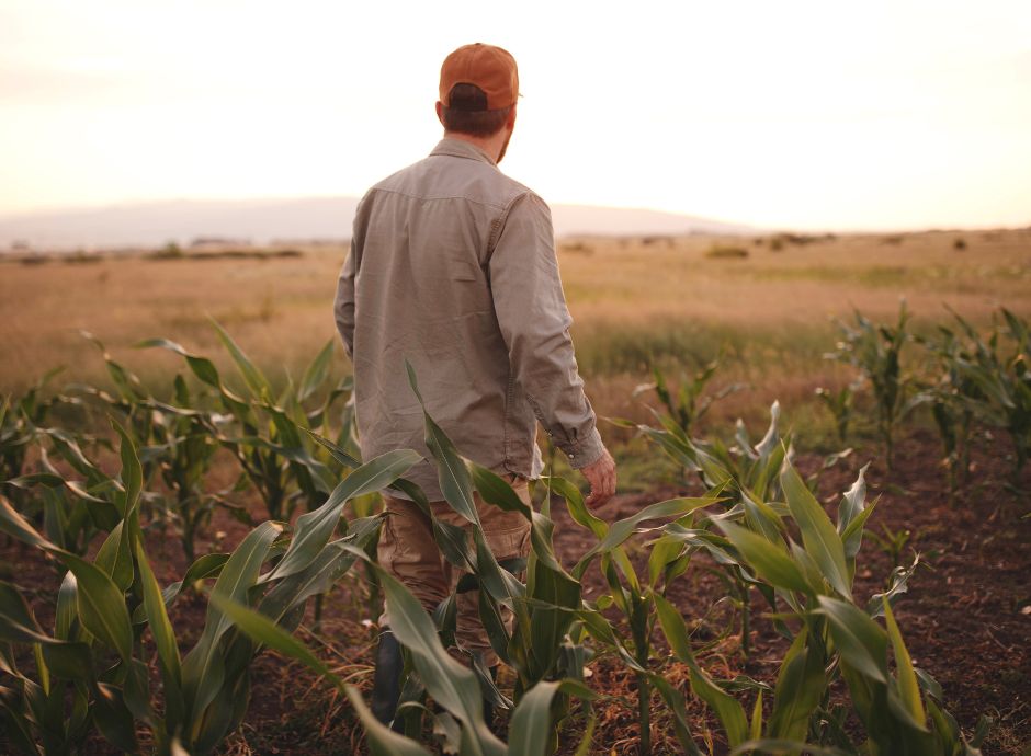 riduzione-inail-2026-contributi-assicurativi-gestione-agricoltu_p29523 Sezione Circolari Lavoro | ConsulenzaAgricola.it