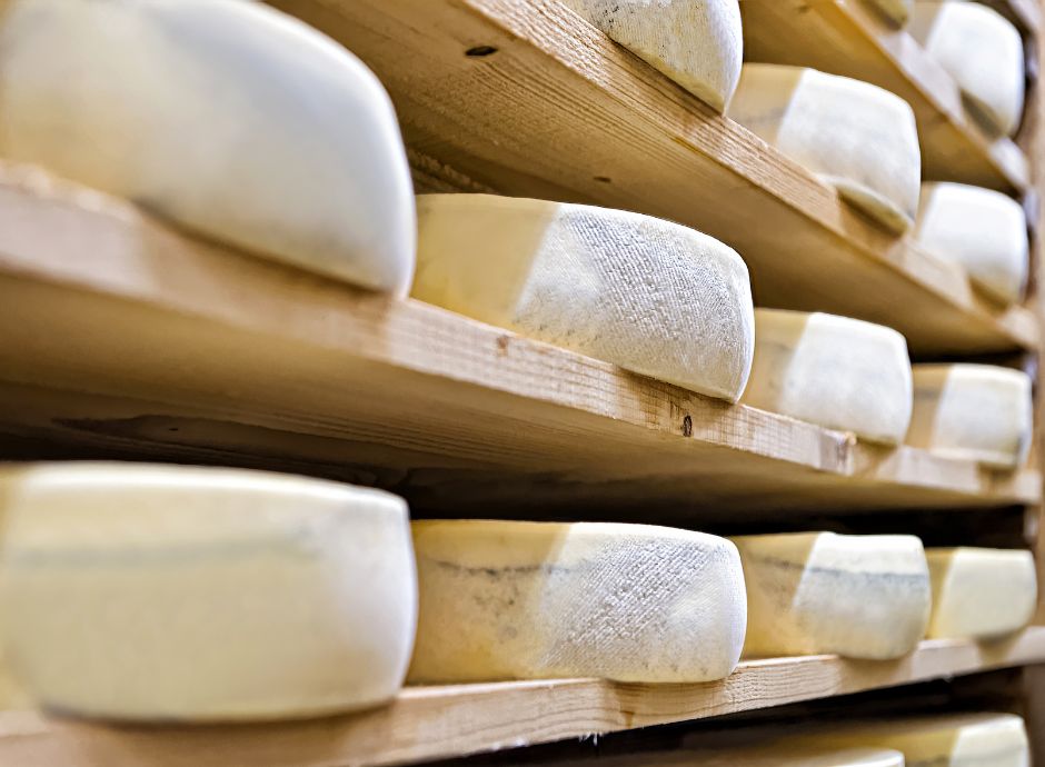 sisma-2012-legittima-riserva-contributi-prodotti-dop-igp Sezione Circolari Varie | ConsulenzaAgricola.it