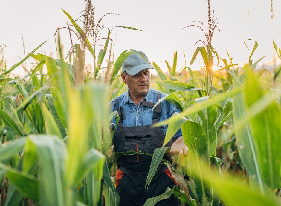 condizionalita-rafforzata-2025 Sezione Circolari PAC | ConsulenzaAgricola.it