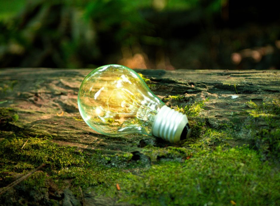 mase-emanato-avviso-pubblico-selezione-progetti-autoproduzione-_p35145 Sezione Circolari Varie | ConsulenzaAgricola.it