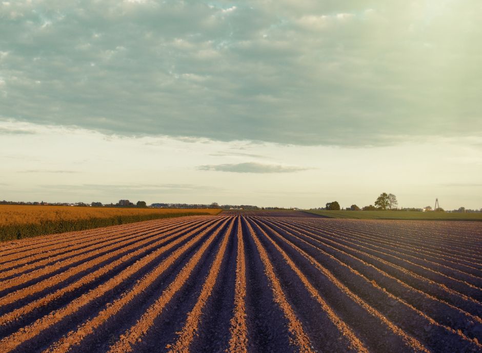 fascicolo-aziendale-sian-organizzazione-e-gestione-operativa-pe_p51606 Sezione Circolari PAC | ConsulenzaAgricola.it