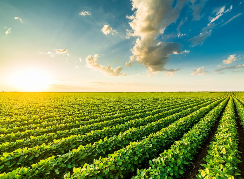 condizionalita-rafforzata-2025-regioni-facenti-capo-op-agea Sezione Circolari PAC | ConsulenzaAgricola.it