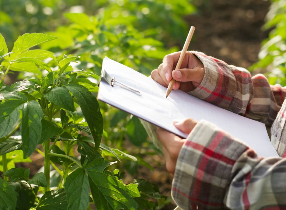 ministero-imprese-made-italy-via-campagna-ispezioni-straordinar_p46452 Sezione Circolari Fiscale | ConsulenzaAgricola.it