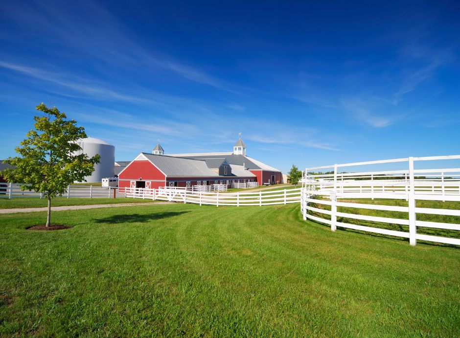 chiarimenti-ammissibilita-subentro-eco1-livello-1 ConsulenzaAgricola -  Risposte efficaci per il mondo agricolo