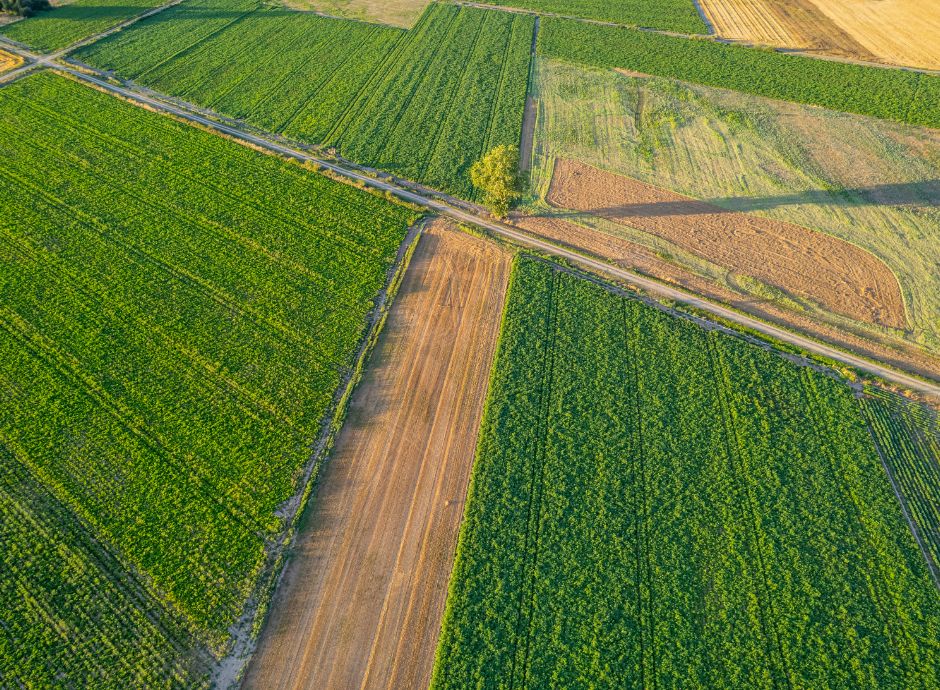 prelazione-agraria-fascia-confinaria-definizione-limiti-orienta_p35150 Sezione Circolari Varie | ConsulenzaAgricola.it