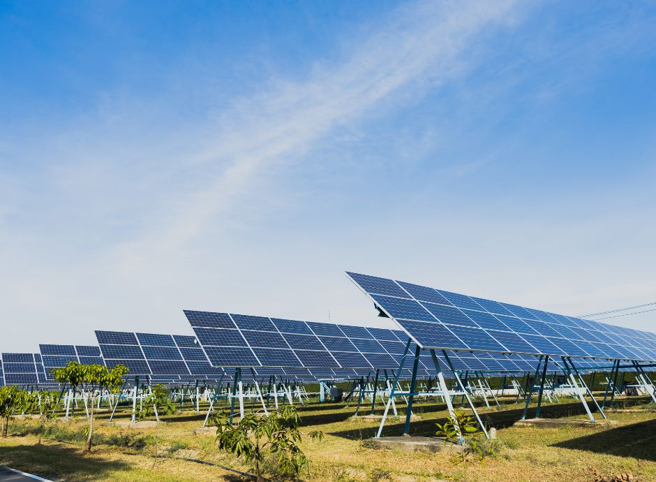 decreto-legge-175-2025-ammesso-solo-agrivoltaico-aree-agricole-_p28969 Sezione Circolari | ConsulenzaAgricola.it