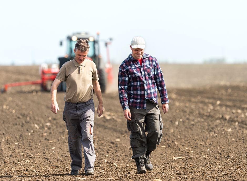 lavoro-occasionale-agricoltura-arrivo-proroga-31-dicembre-2025 ConsulenzaAgricola -  Risposte efficaci per il mondo agricolo