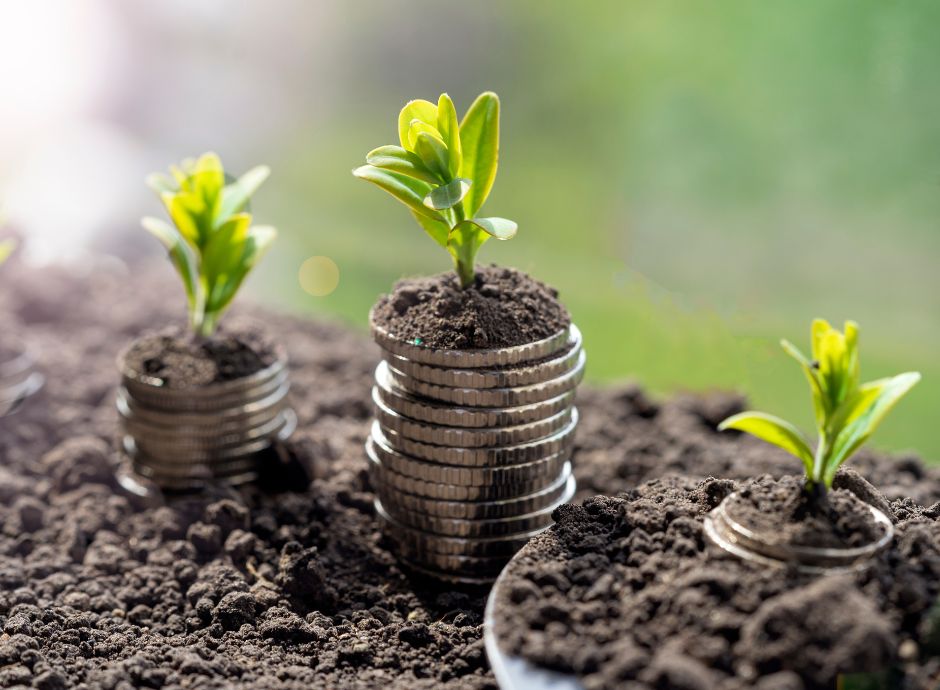 pagamento-saldi-pac-2025 ConsulenzaAgricola -  Risposte efficaci per il mondo agricolo