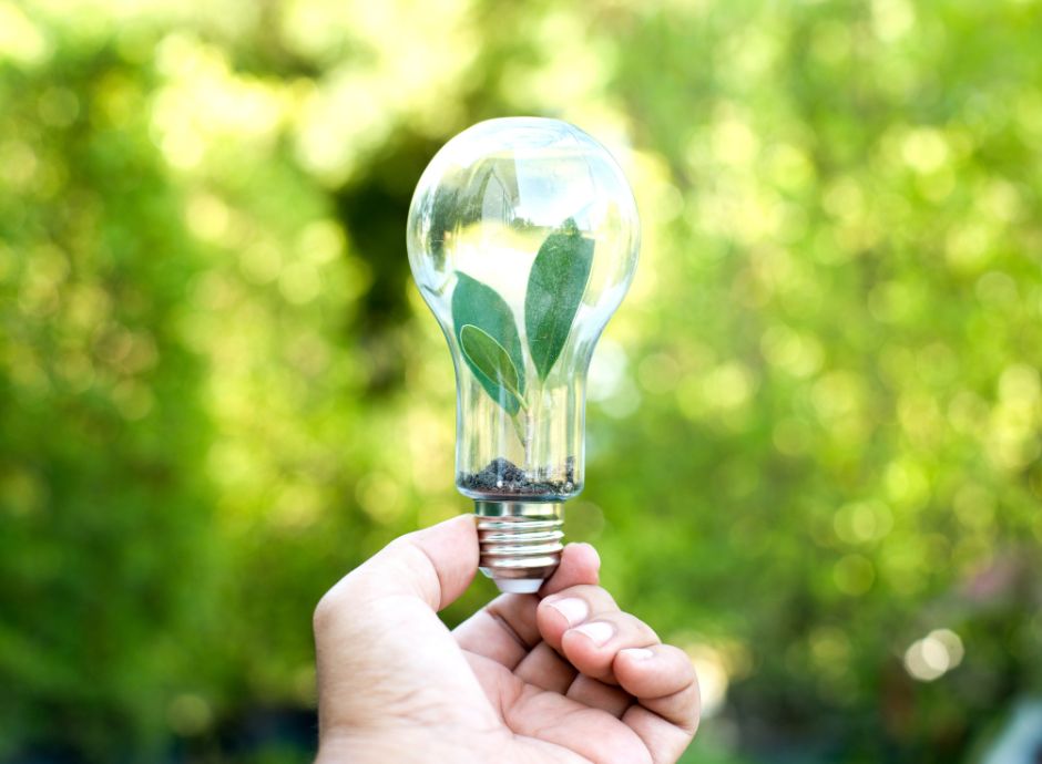 bonus-transizione-5-0-definite-modalita-opzione Sezione Circolari | ConsulenzaAgricola.it