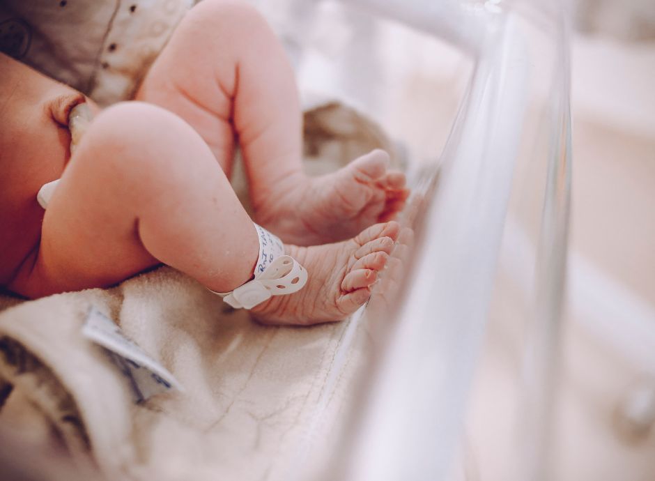 annunciata-estensione-servizio-proattivo-inps-bonus-nuovi-nati Sezione Circolari Varie | ConsulenzaAgricola.it