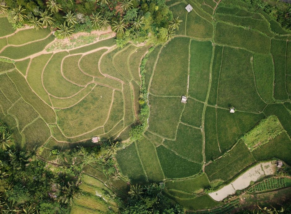 controlli-tramite-ams-campagna-2025 ConsulenzaAgricola -  Risposte efficaci per il mondo agricolo