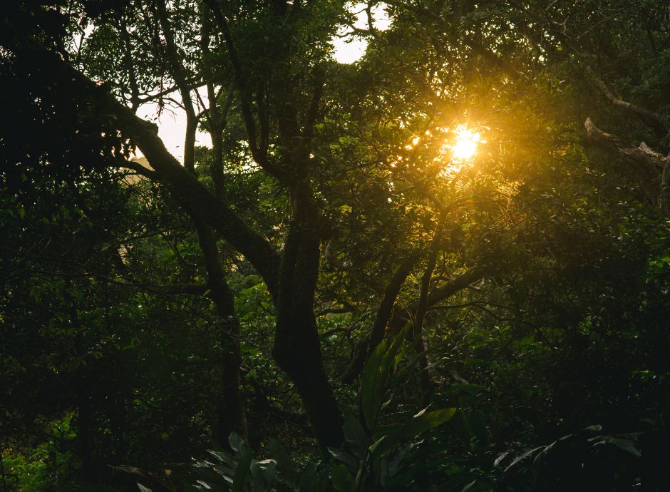 Luoghi di lavoro in agricoltura: chiarimenti 2025 su obblighi, esenzioni e sicurezza secondo il ministero del lavoro luoghi-lavoro-agricoltura-chiarimenti-2025-obblighi-esenzioni-s_p76681 Sezione Circolari | ConsulenzaAgricola.it