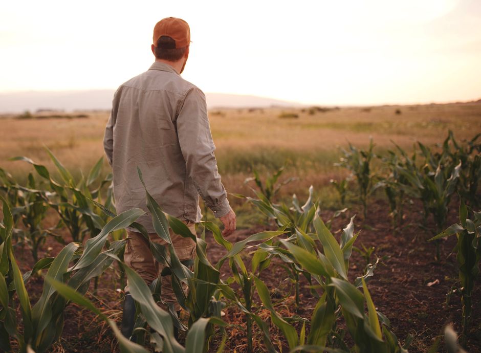 domande-indennita-disoccupazione-agricola-rilasciati-tracciati-_p42468 Sezione Circolari | ConsulenzaAgricola.it
