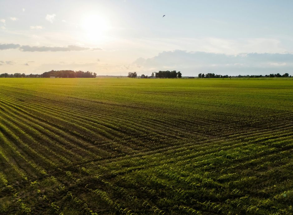 agenzia-entrate-pubblicato-aggiornamento-particelle-variazioni-_p35107 Sezione Circolari | ConsulenzaAgricola.it