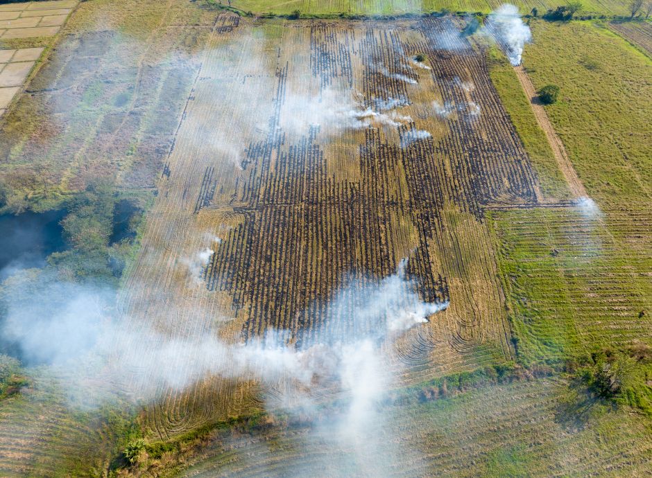 abbruciamento-residui-vegetali-agricoli-qualita-aria-quadro-nor_p17876 Sezione Circolari | ConsulenzaAgricola.it