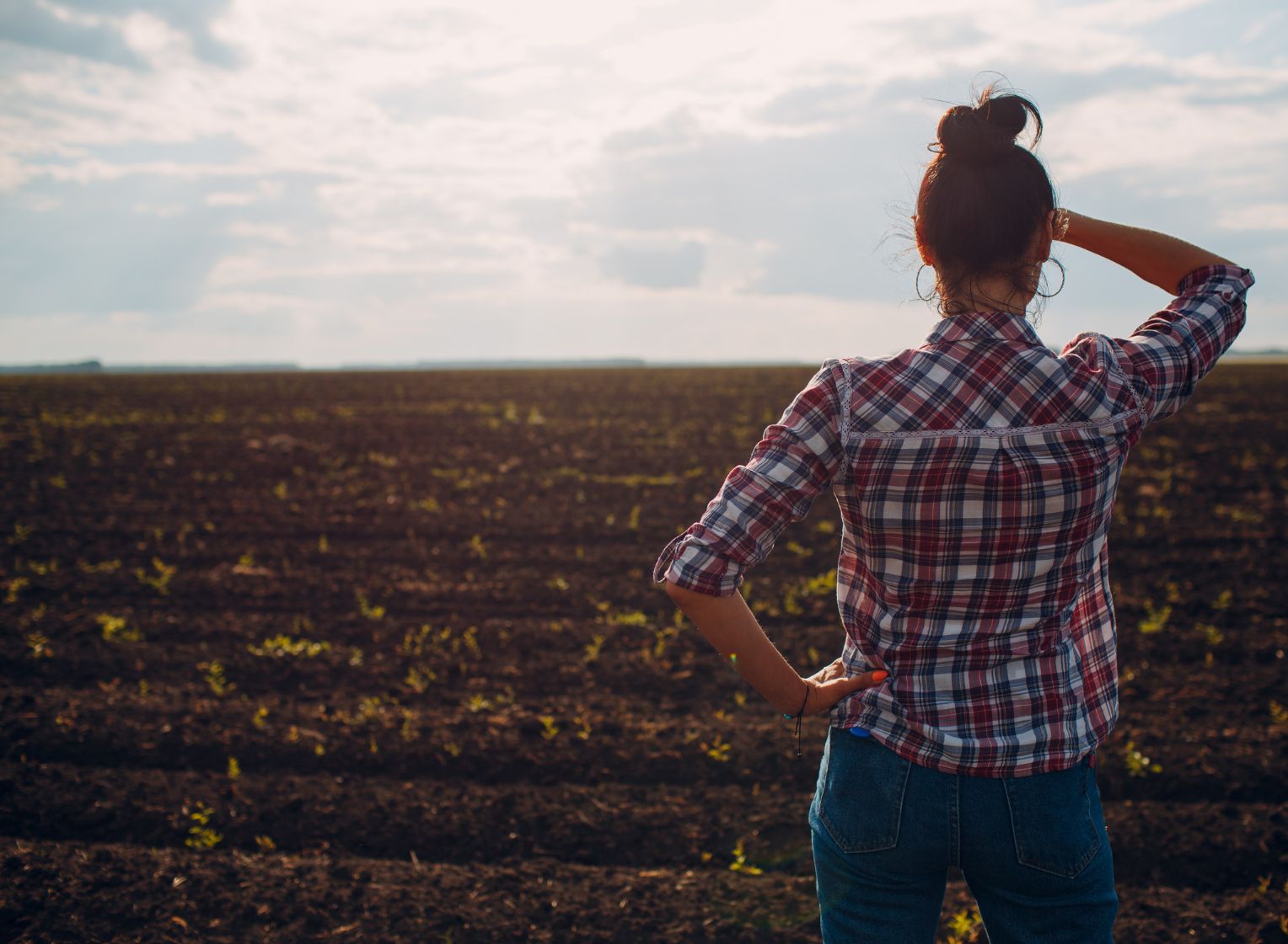 agevolazioni-fondo-perduto-giovani-donne-agricoltura-annunciata_p64634 Sezione Circolari | ConsulenzaAgricola.it