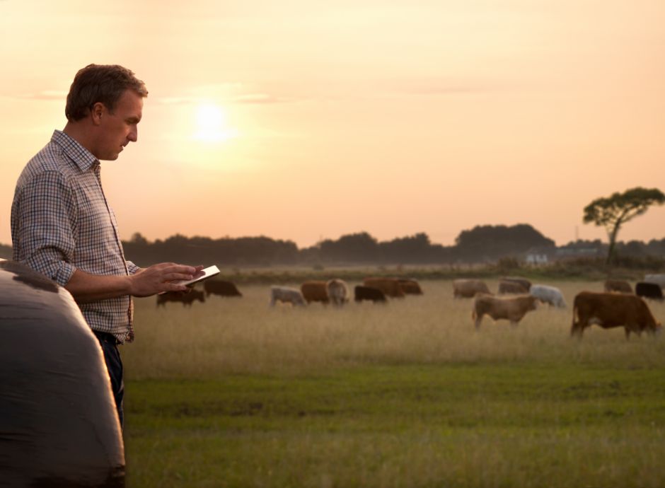agevolazioni-contributive-agricoltura-cosa-cambia-circolare-inp_p46215 Sezione Circolari | ConsulenzaAgricola.it