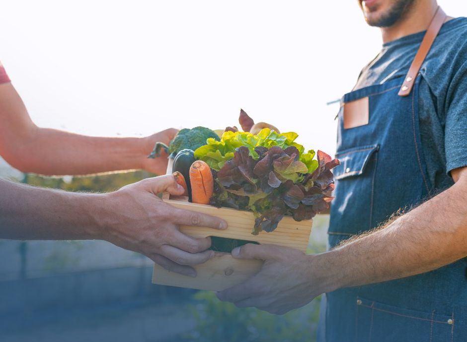 contribuzione-agricoltura-rilasciata-nuova-procedura-inps-rappo_p87143 Circolari in materia di lavoro