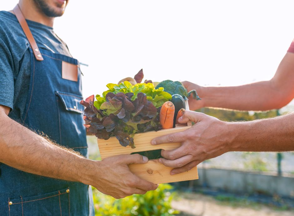 contribuzione-agricoltura-rilasciata-nuova-procedura-inps-rappo_p96958 Sezione Circolari | ConsulenzaAgricola.it