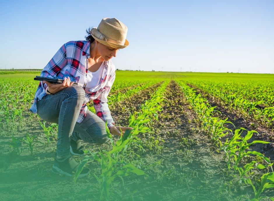 credito-imposta-zes-unica-agricoltura-novita-introdotte-legge-b_p91820 Circolari Fiscali