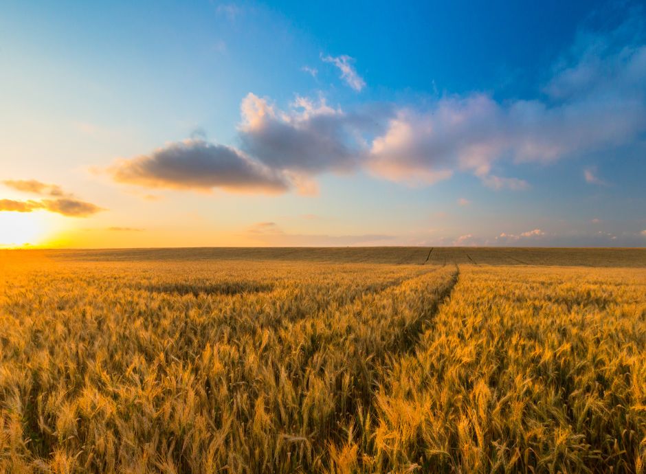 legge-bilancio-2026-proroga-esenzione-irpef-redditi-domenicali-_p79617 Circolari Fiscali