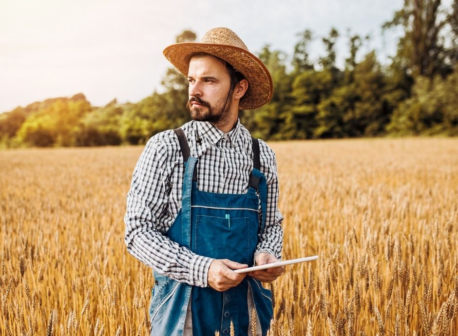 flussi-ingresso-2026-definite-quote-lavoro-stagionale-agricolo ConsulenzaAgricola.it - Risposte efficaci per il mondo agricolo