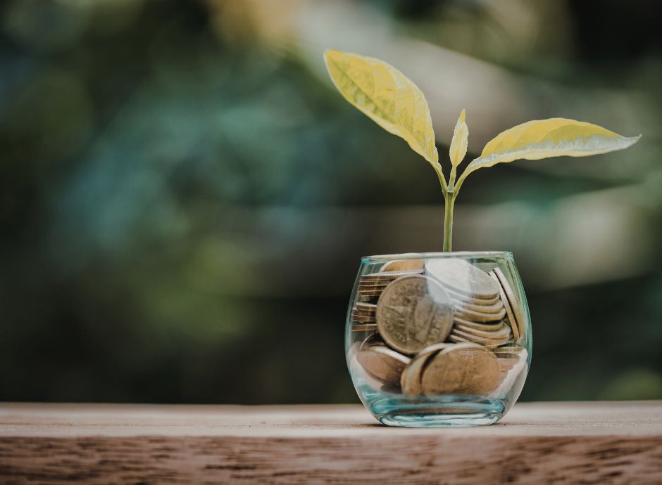 regime-de-minimis-settore-agricolo-obblighi-controllo-corte-giu_p74206 ConsulenzaAgricola -  Risposte efficaci per il mondo agricolo