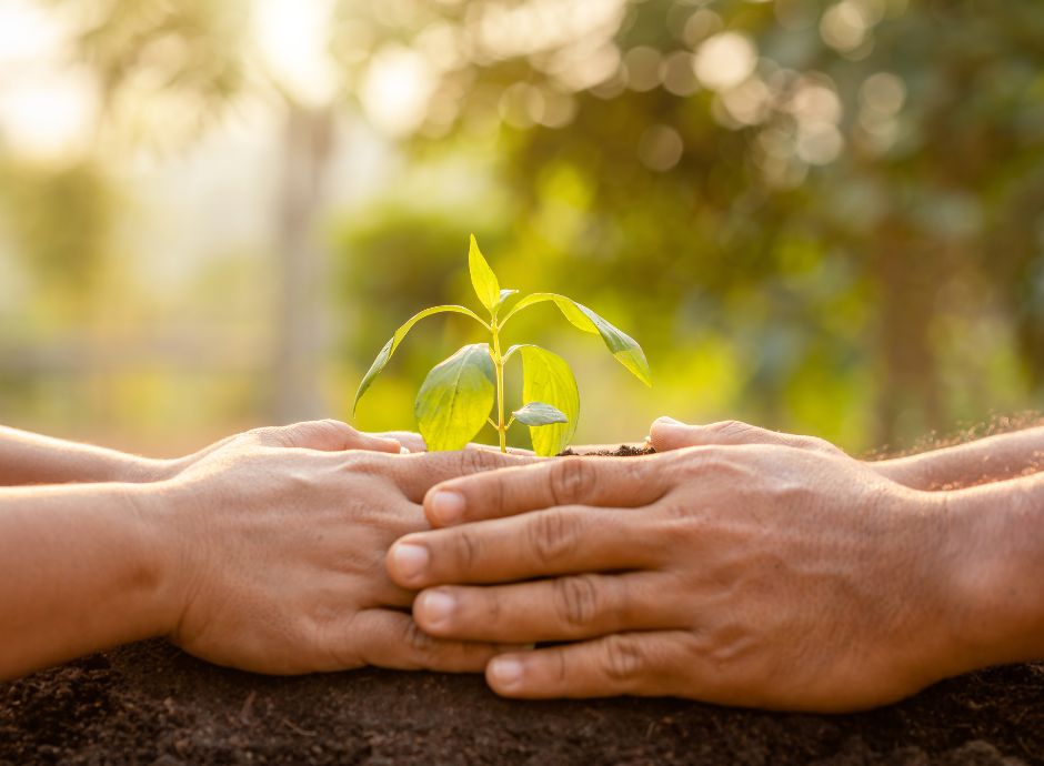 aiuti-alle-pmi-agricole-colpite-da-avversita-atmosferiche-inter_p87309 ConsulenzaAgricola -  Risposte efficaci per il mondo agricolo