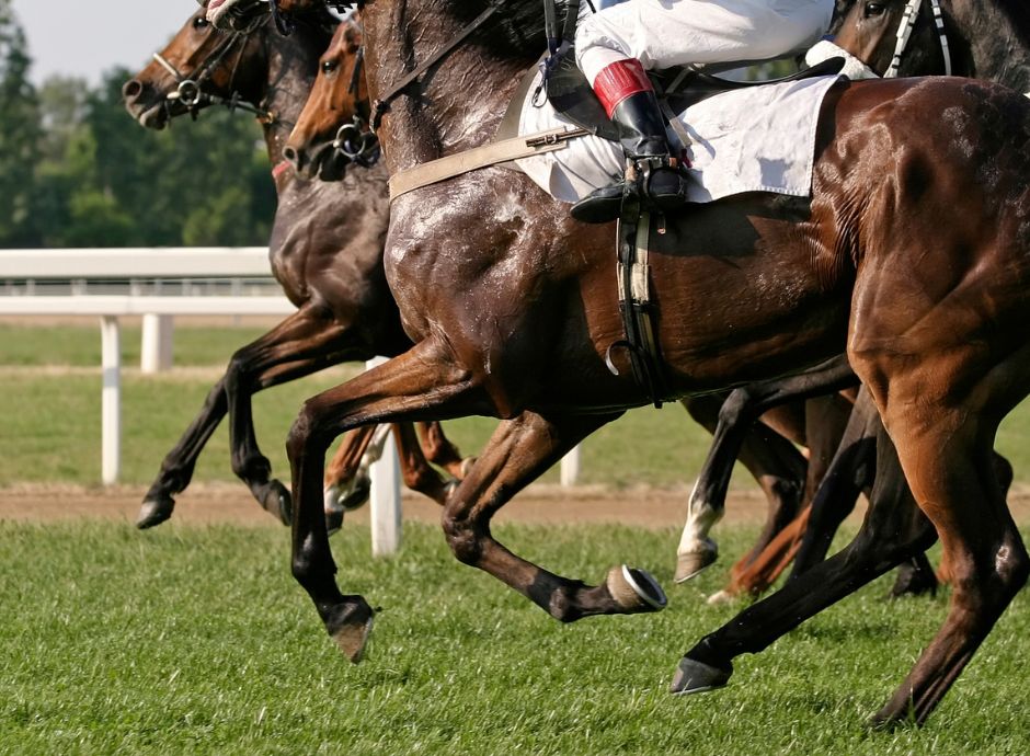 legge-bilancio-stanziamenti-settore-ippico ConsulenzaAgricola -  Risposte efficaci per il mondo agricolo