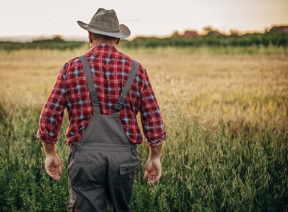 contratto-lavoro-tempo-determinato-costituisce-forma-comune-rap_p24729 ConsulenzaAgricola -  Risposte efficaci per il mondo agricolo