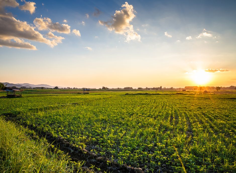 rilevanza-fiscale-avviamento-cessione-azienda-agricola ConsulenzaAgricola -  Risposte efficaci per il mondo agricolo