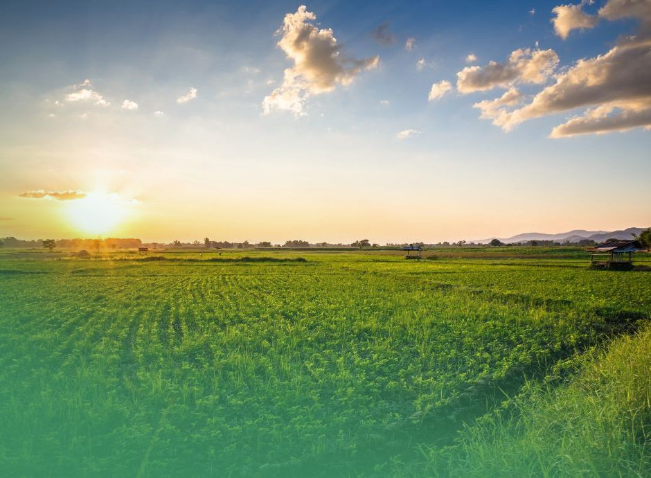 rilevanza-fiscale-avviamento-cessione-azienda-agricola_ok Circolari Fiscali
