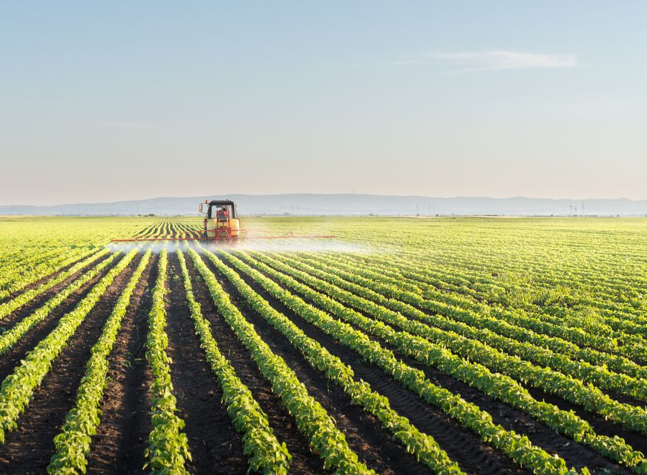 fondo-sovranita-alimentare-campagna-2025-2026 ConsulenzaAgricola -  Risposte efficaci per il mondo agricolo