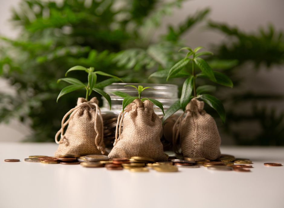 incentivi-investimenti-area-grigia-cooperative-agricole-conferi_p81320 ConsulenzaAgricola -  Risposte efficaci per il mondo agricolo