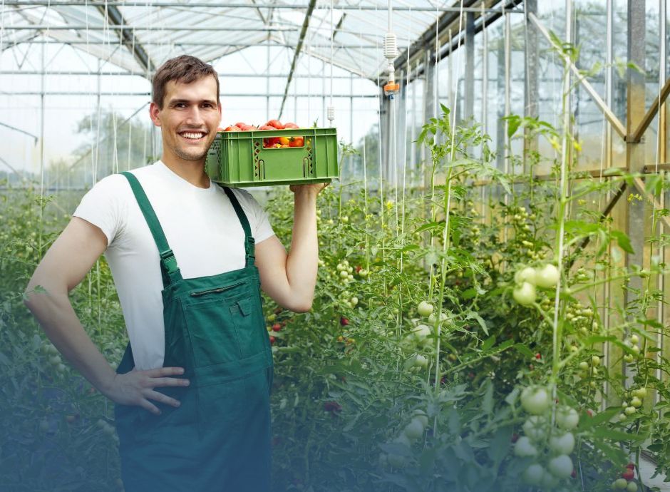 legge-bilancio-2026-regime-contratto-lavoro-occasionale-agricol_p62493 Circolari in materia di lavoro