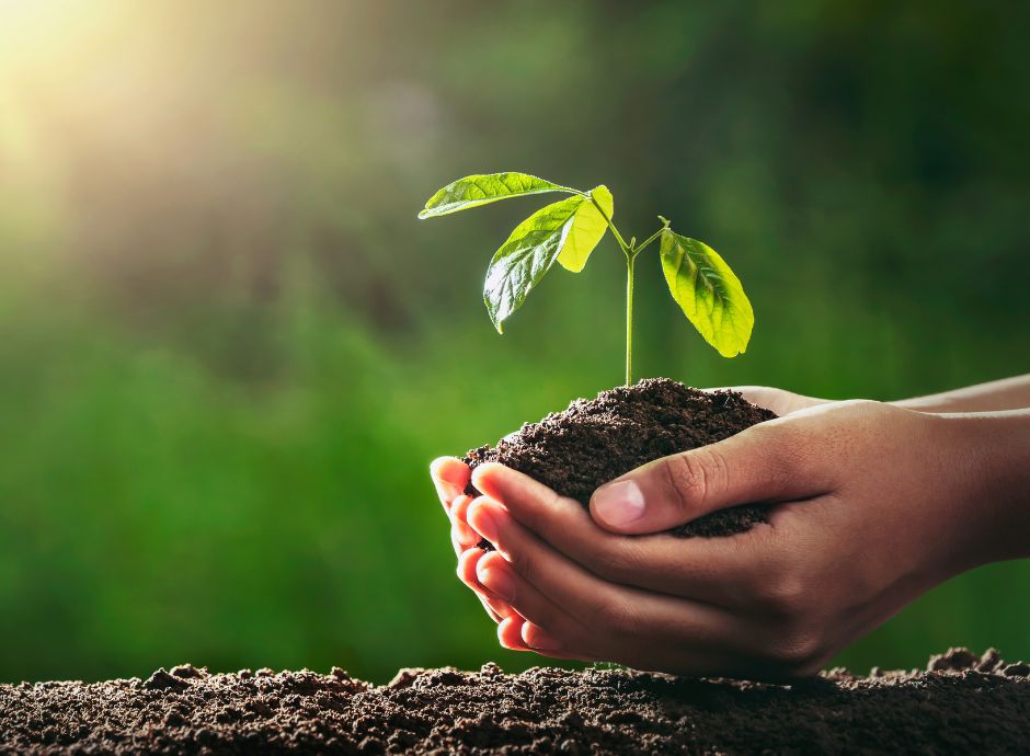 emergenza-meteo-calabria-sardegna-sicilia-misure-sostegno-arriv_p73825 ConsulenzaAgricola -  Risposte efficaci per il mondo agricolo