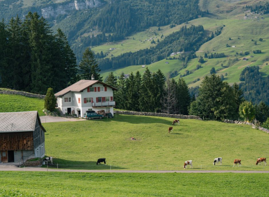 presunzione-di-imprenditorialita-anche-per-le-locazioni-turisti_p73174 ConsulenzaAgricola -  Risposte efficaci per il mondo agricolo