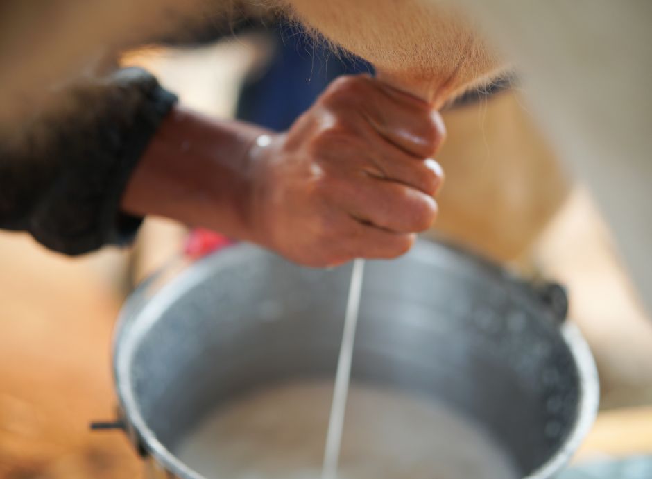 quote-latte-nuovi-strumenti-chiudere-contenzioso-corso ConsulenzaAgricola -  Risposte efficaci per il mondo agricolo