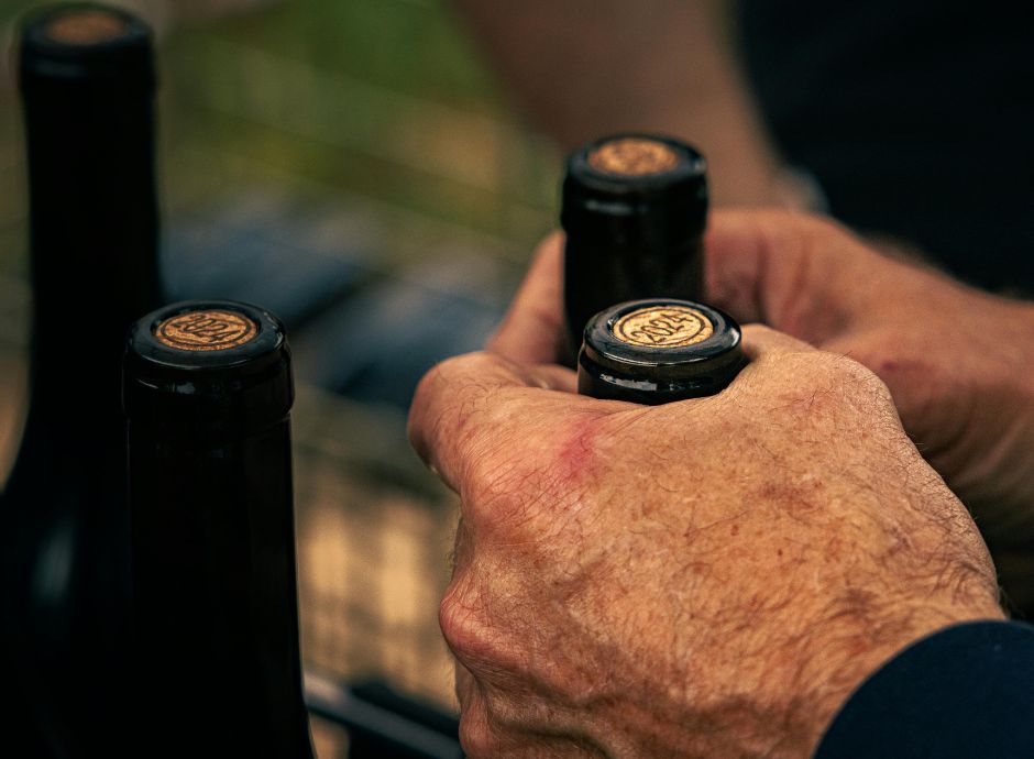 indicazioni-geografiche-vigore-decreto-attuativo-reg-ue-2024-11_p69081 ConsulenzaAgricola -  Risposte efficaci per il mondo agricolo