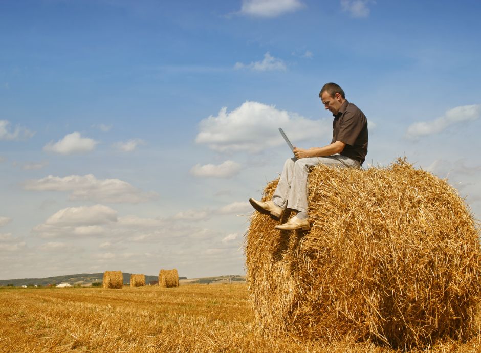 monitoraggio-prezzi-agricoli-codici-cun-obbligatori-fattura-pub_p83431 ConsulenzaAgricola -  Risposte efficaci per il mondo agricolo