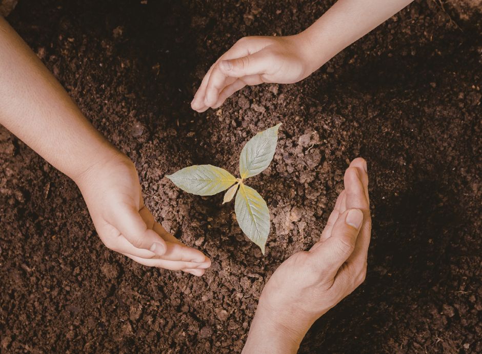 via-misura-generazione-terra-2026 ConsulenzaAgricola -  Risposte efficaci per il mondo agricolo